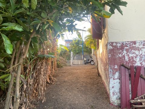 photo no. 2