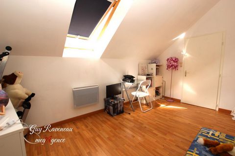 photo no. 7