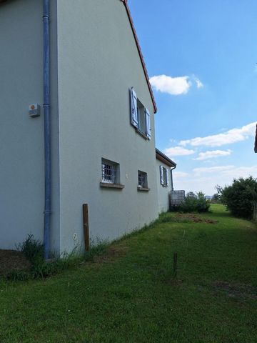 photo no. 9