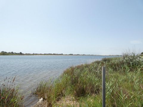 photo no. 8