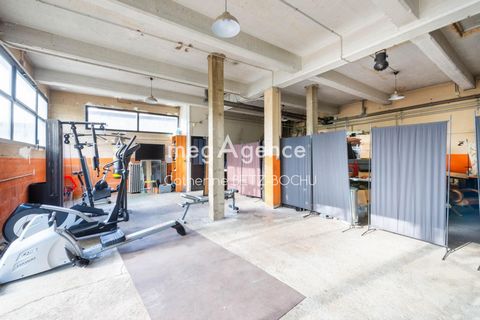 photo no. 10