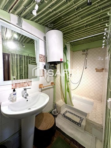 photo no. 8