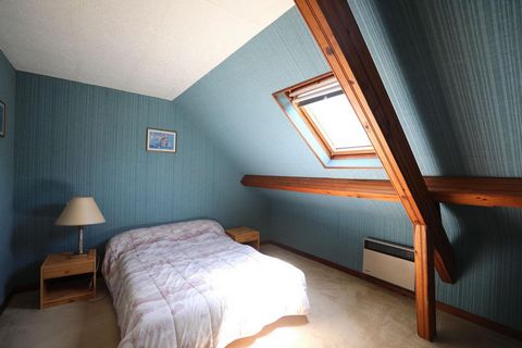 photo no. 9