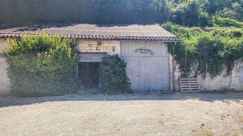 photo no. 23