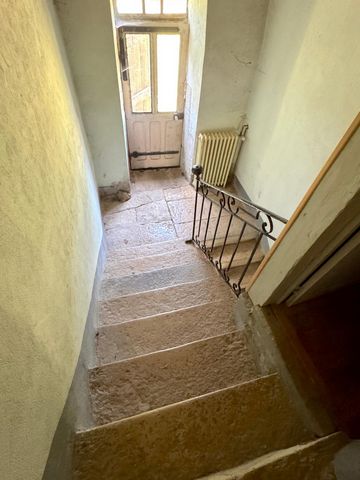 photo no. 11