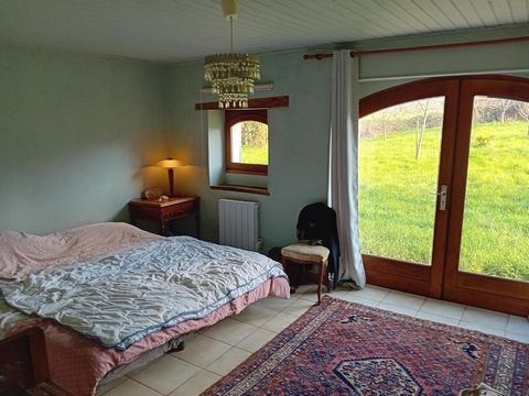 photo no. 10