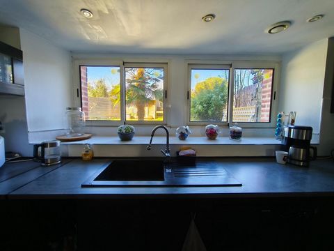 photo no. 4