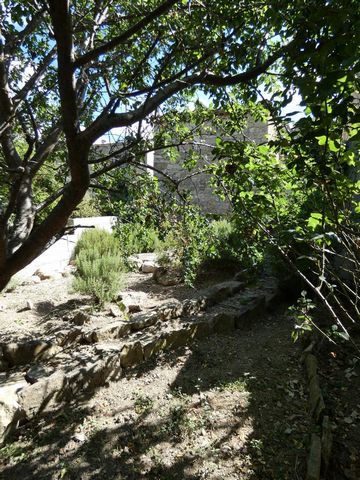 photo no. 17