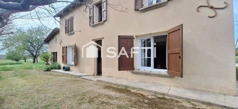 photo no. 2