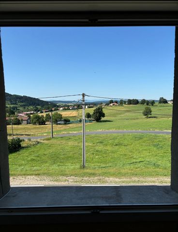 photo no. 4