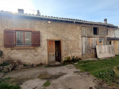 photo no. 10