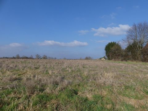 photo no. 1