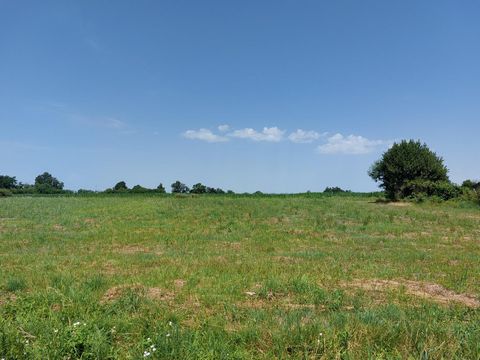 photo no. 2