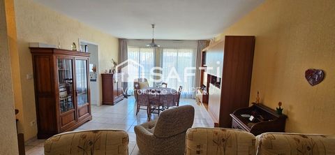 photo no. 11