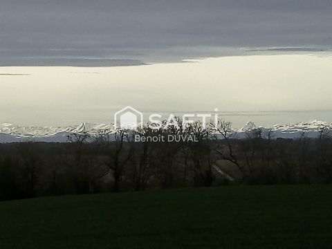 photo no. 9
