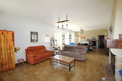photo no. 6