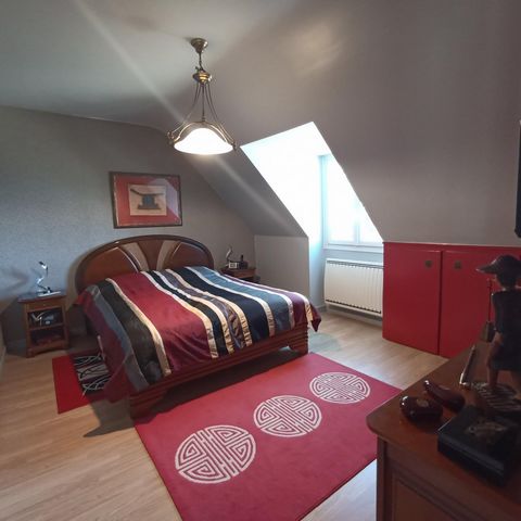 photo no. 12