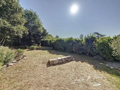 photo no. 11