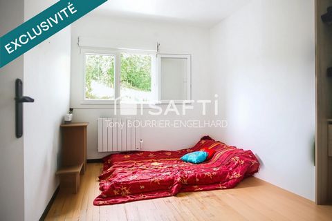 photo no. 2