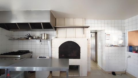 photo no. 12