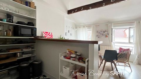 photo no. 13