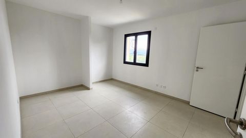 photo no. 8