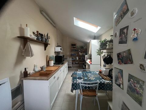 photo no. 7