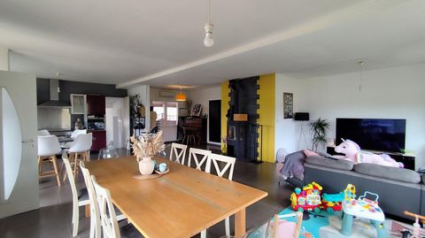 photo no. 19