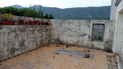 photo no. 12