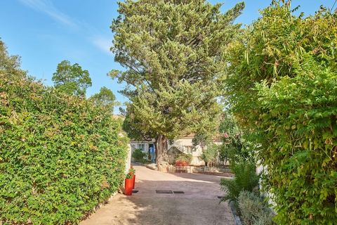 Residence Lisa Maria consists of 80 semi-detached houses nicely laid out in greenery. The ground floor house has a living room with a sofa bed for 2 people (140 cm) and air conditioning. The fully equipped kitchen has electric hotplates, microwave, f...