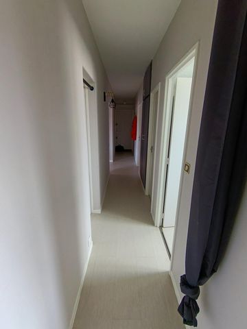 photo no. 9
