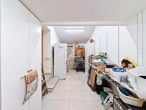 photo no. 7