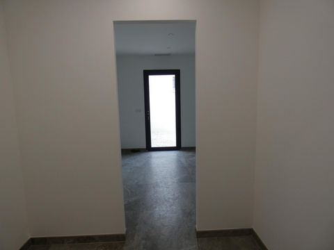 photo no. 7