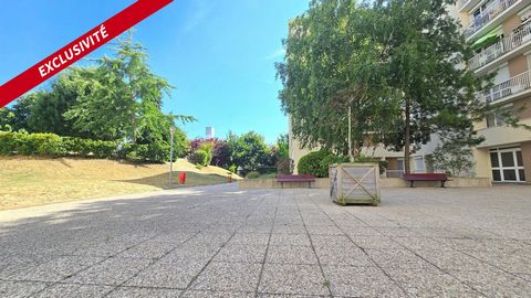photo no. 10