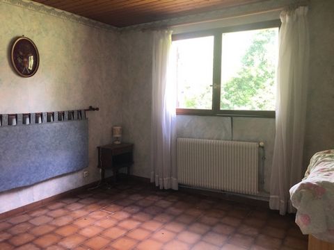 photo no. 12