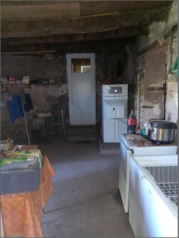 photo no. 6