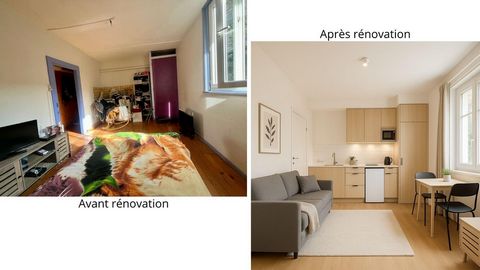 URGENT À VENDRE – Appartement avec studio indépendant au cœur de Salins-les-Bains