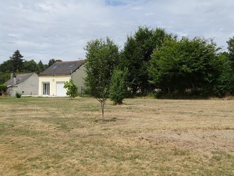photo no. 5