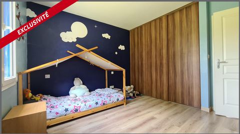 photo no. 13