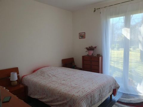 photo no. 5