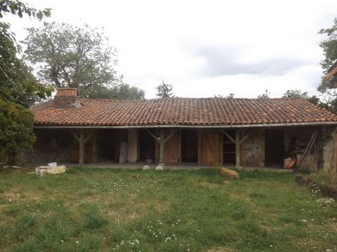 photo no. 17