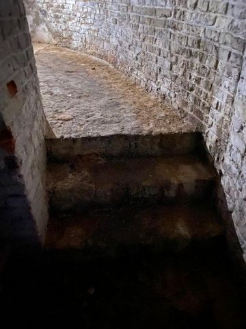 photo no. 11