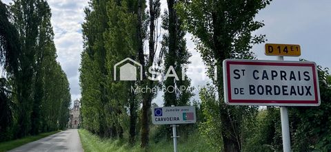 photo no. 9