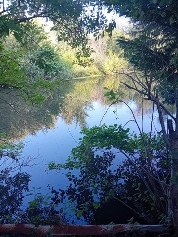 photo no. 12