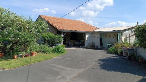 photo no. 11