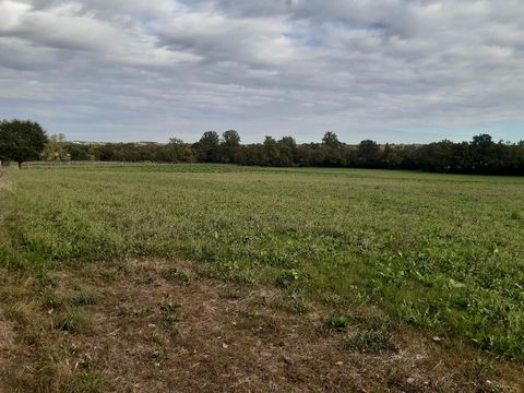 photo no. 15