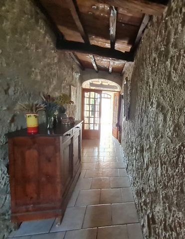 photo no. 12