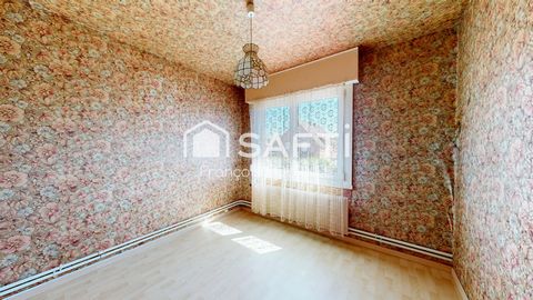 photo no. 12