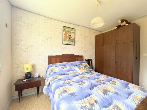 photo no. 8