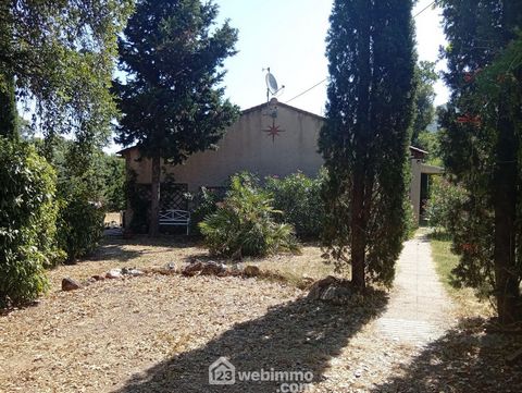 photo no. 10